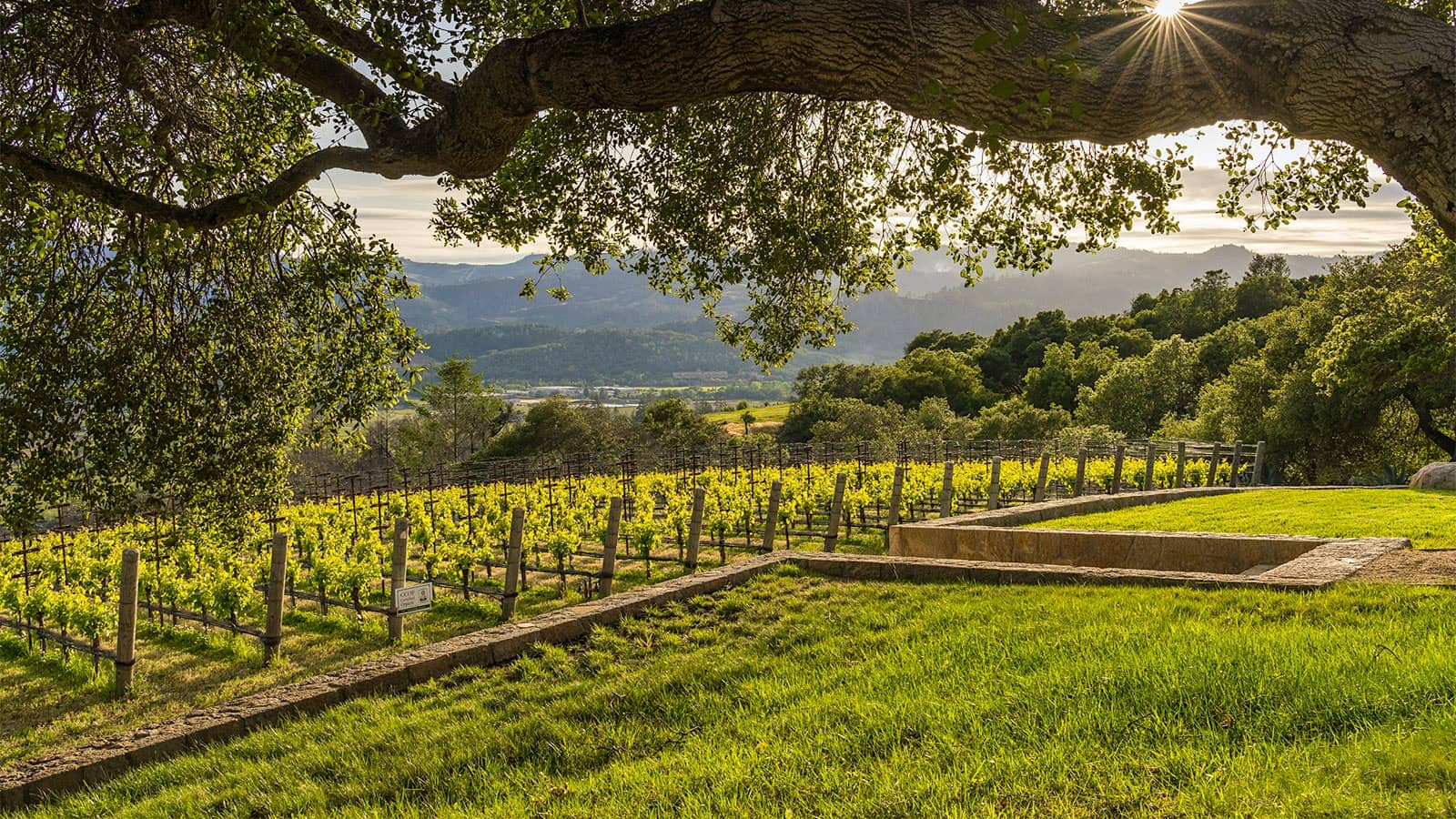 Seven Stones enjoys a hillside view of the upper part of Napa Valley, looking toward the West. (Adam Potts)